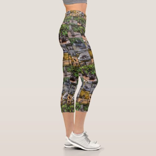 Otter Photo Collage Capri Leggings