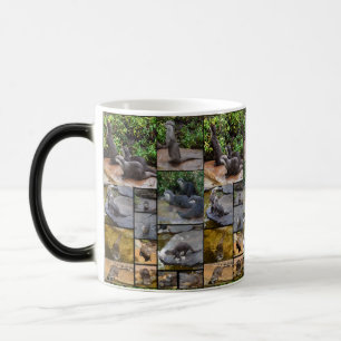 Otter Photo Collage, Magic Morph Mug. Color Morph Mug