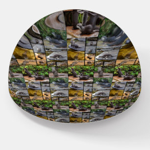 Otter Photo Collage, Paperweight