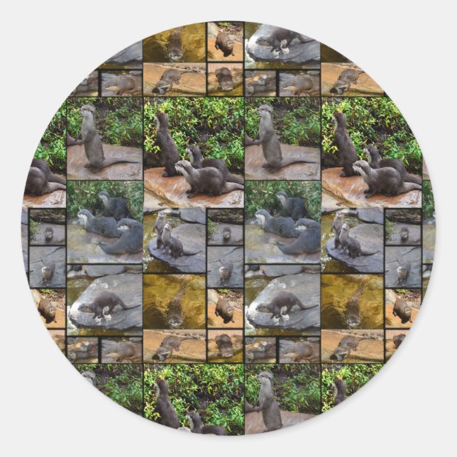Otter Photo Collage Round Stickers. Classic Round Sticker (Front)