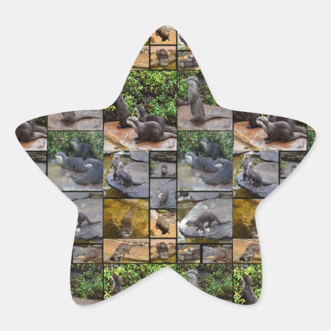 Otter Photo Collage Star Stickers. Sticker (Front)