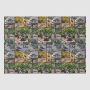 Otter Photo Collage, Tissue Paper
