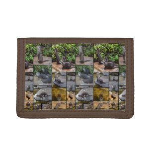 Otter Photo Collage, Trifold Wallet