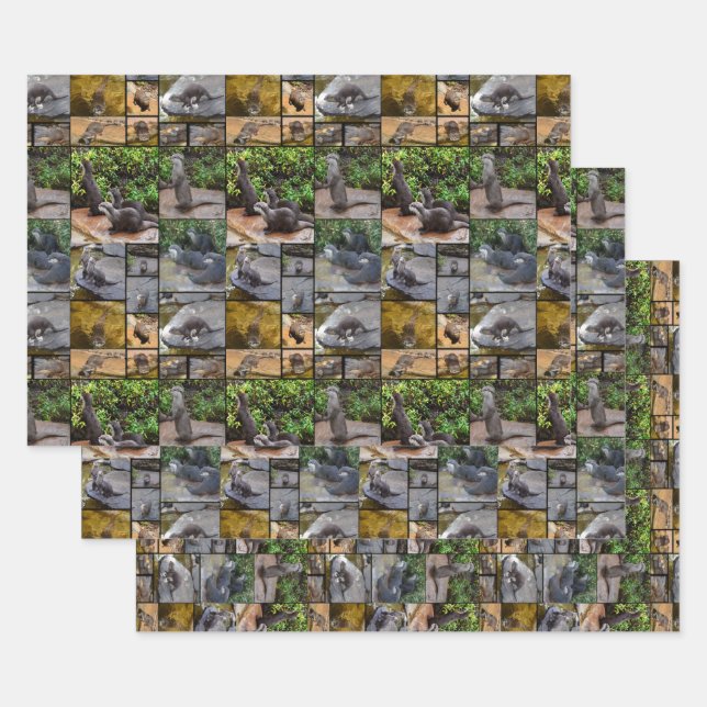 Otter Photo Collage, Wrapping Paper Sheets (Set)