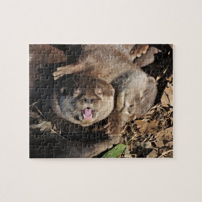 Otter photo jigsaw puzzle (Horizontal)
