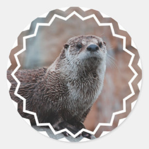 Portrait Details about   Comfy Save The Planet Otter Sticker Portrait Sticker 