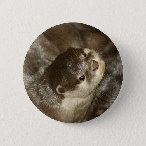 Otter Pinback Button
