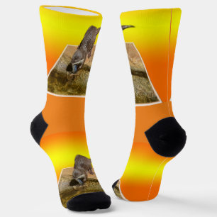 **"Otter Popout: A Playful Peek into River Life"** Socks