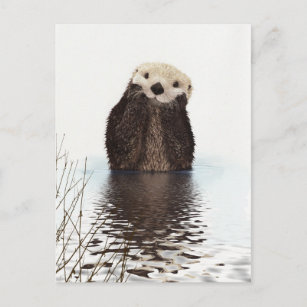 AO-6MC Cute Otters Mug+Coaster Christmas/Birthday Gift Idea 