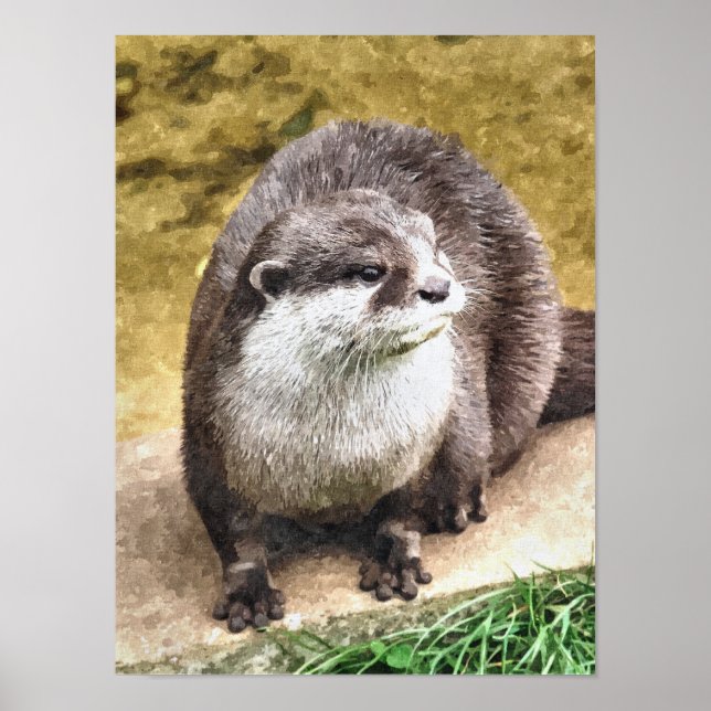OTTER POSTER (Front)