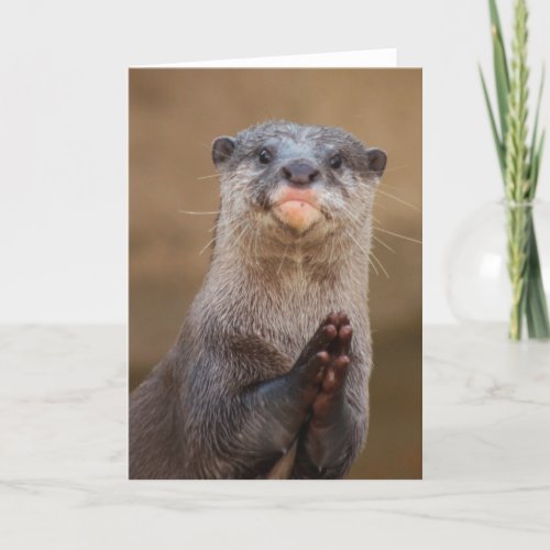 Otter Praying Card