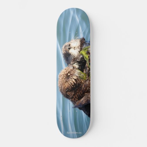 Otter pup and mother with kelp skateboard