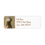 Otter Return Address Label