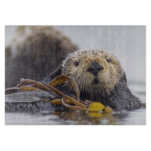 Otter Surprise cutting board (Front)