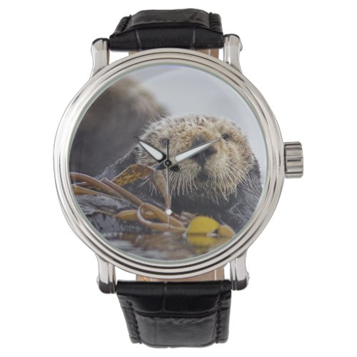 Otter Surprise Watch