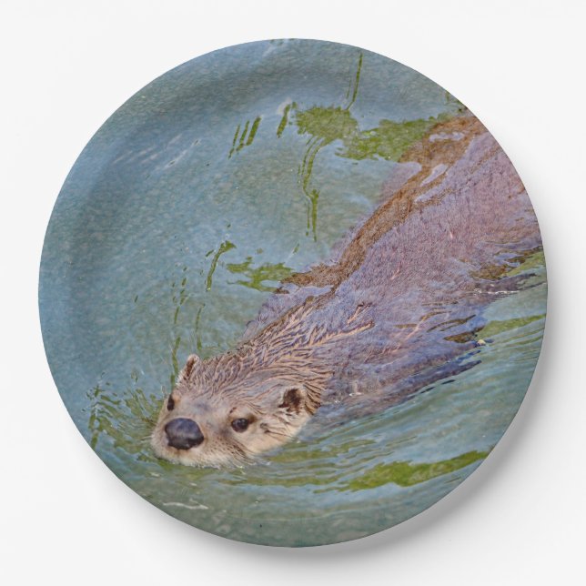 Otter Swimming Wildlife Photo Paper Plates (Front)