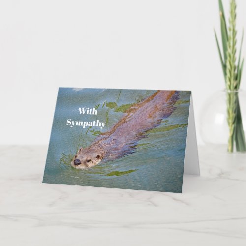 Otter Swimming Wildlife Photo Sympathy Card