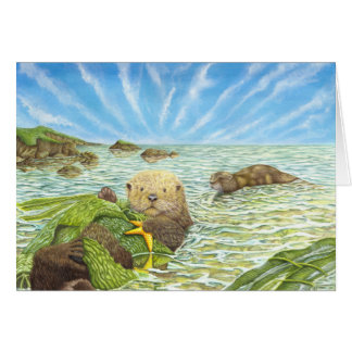 Otter Tide Cards