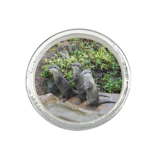 Otter Triplets Ring