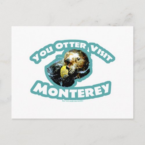 Otter visit Monterey Postcard