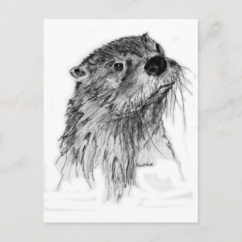 Otter Whiskers Postcard