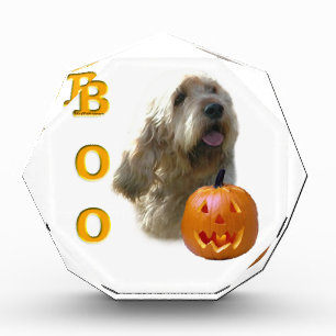 Otterhound Halloween BOO Award