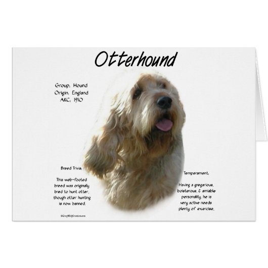 Otterhound History Design Cards (Front Horizontal)