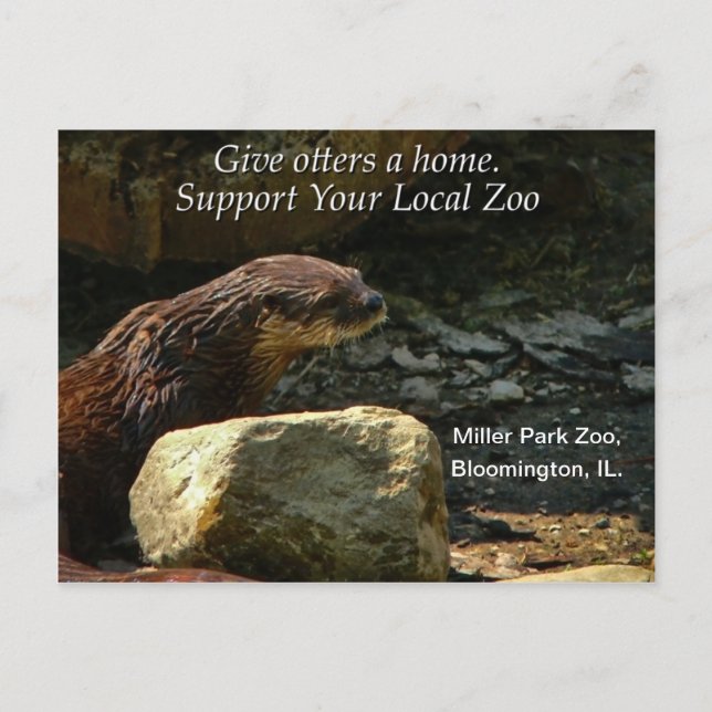 Otterly Adorable Postcard (Front)