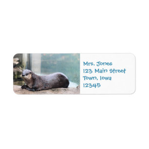 Otterly cute label