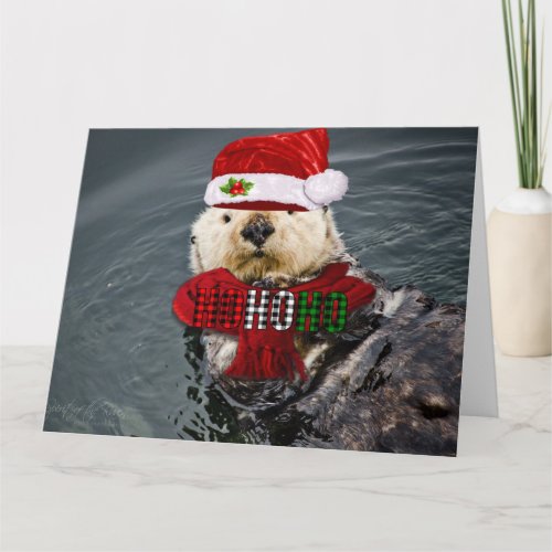 otterly cute Sea Otter Christmas greeting card