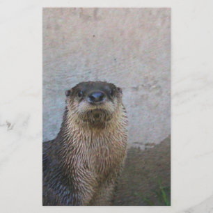 Otterly cute stationery
