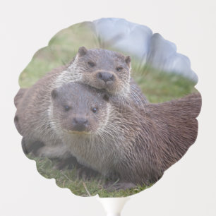 Otterly in Love Balloon