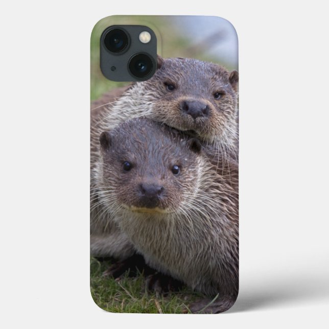 Otterly in Love iPad Case (Back)