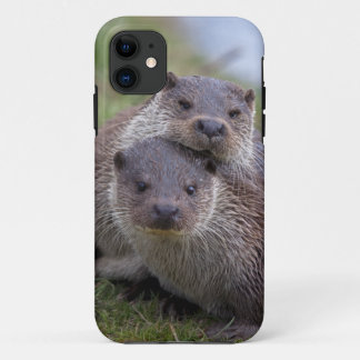 Otterly in Love iPhone 5 Case-Mate Case