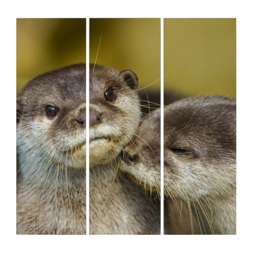 Otterly In Love Triptych