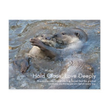 Otterly love Postcard