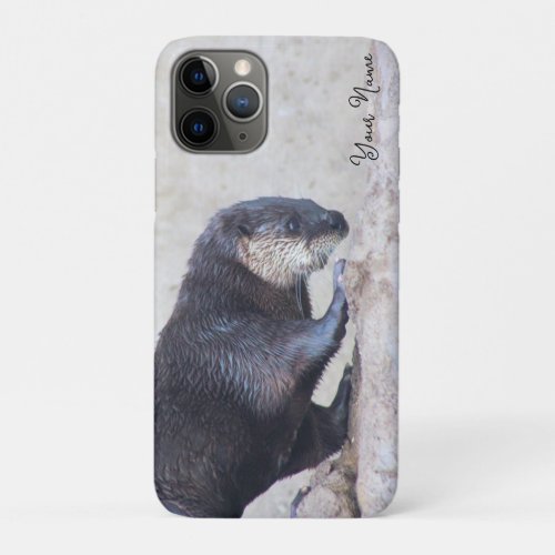 Otterly Sleek iPhone 11 Pro Case