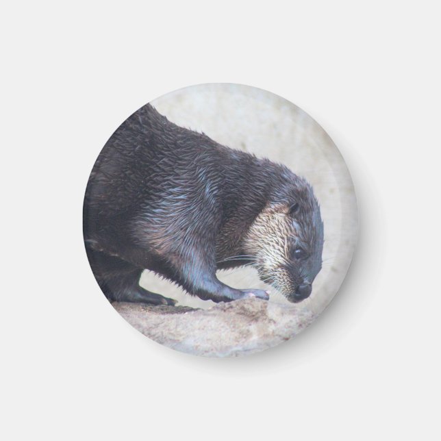 Otterly sleek magnet (Front)