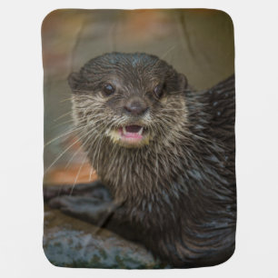 Otterly Surprised Baby Blanket
