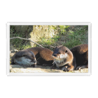 OTTERS ACRYLIC TRAY