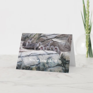 Otters birthday card