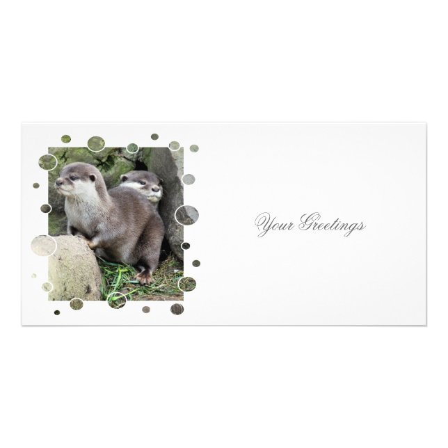 OTTERS CARD (Front)