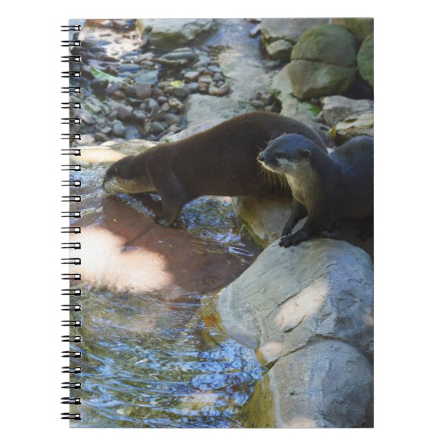 Otters Drinking, Notebook (Front)