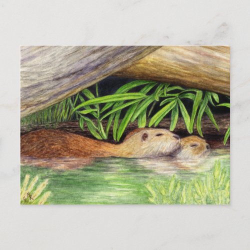 Otters Floating Wildlife Art Postcard