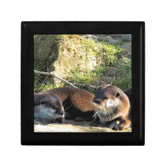 OTTERS GIFT BOX
