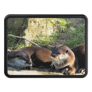 OTTERS HITCH COVER