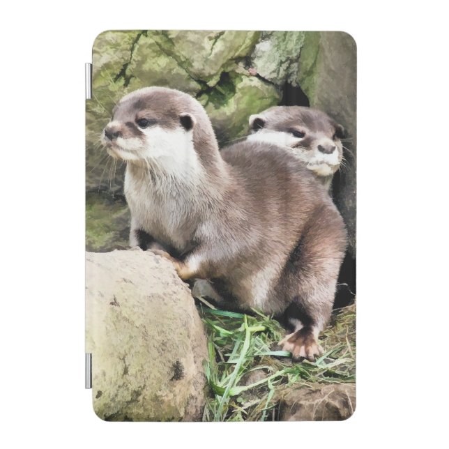 OTTERS  iPad MINI COVER (Front)