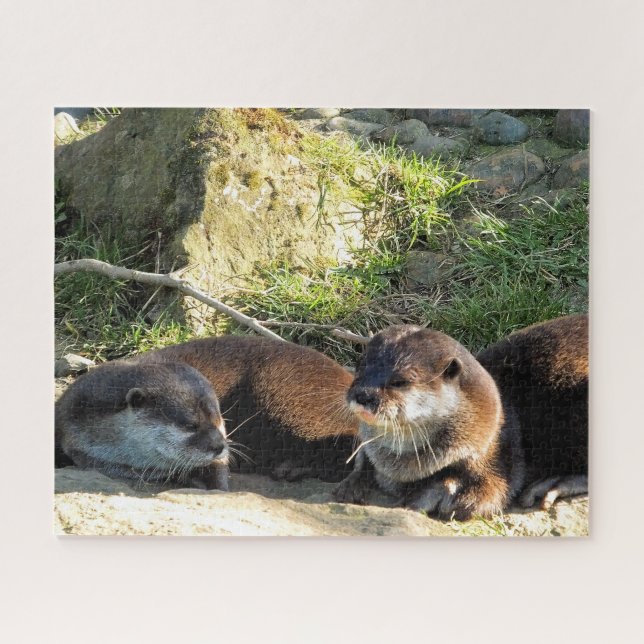OTTERS JIGSAW PUZZLE (Horizontal)