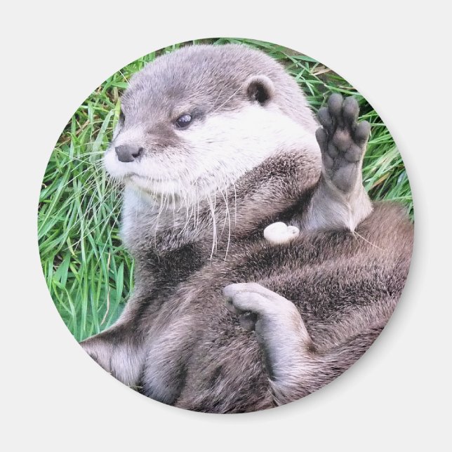 OTTERS MAGNET (Front)