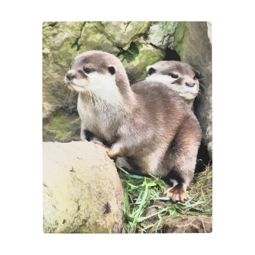 OTTERS   METAL PRINT